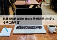 榆林区块链公司有哪些名单啊[落地榆林的5个千亿级项目]